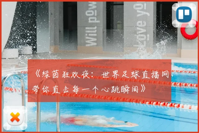 《绿茵狂欢夜：世界足球直播网，带你直击每一个心跳瞬间》