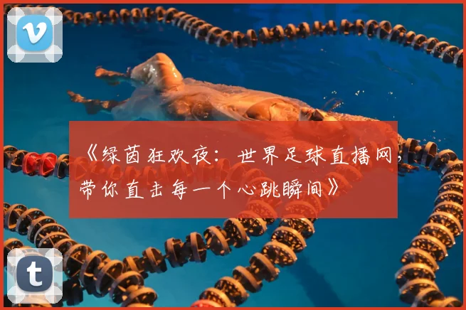《绿茵狂欢夜：世界足球直播网，带你直击每一个心跳瞬间》